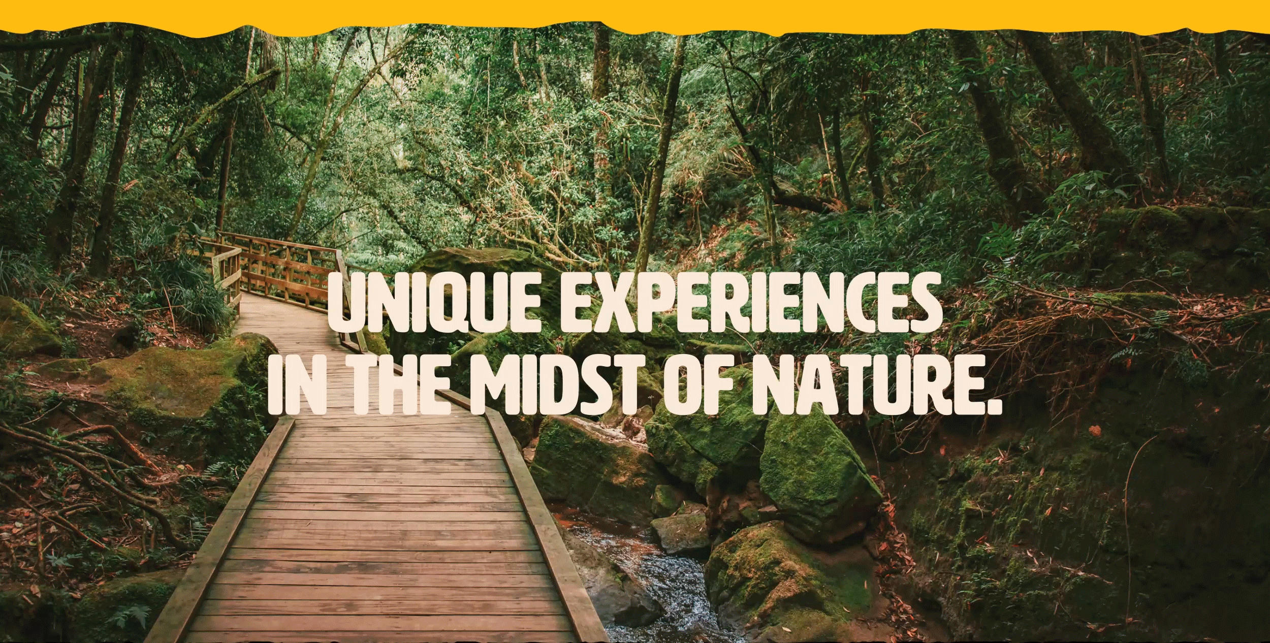 No alt text provided for image ID 556